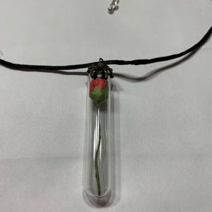 Handmade necklace with rose in a glass tube. Approximately 18” with extension.